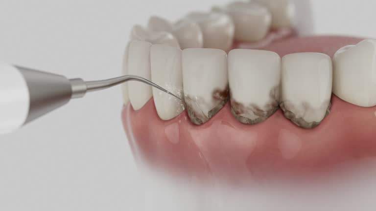 Reliable Dental contractor in Grand Rapids, MI by Dentist Open Now